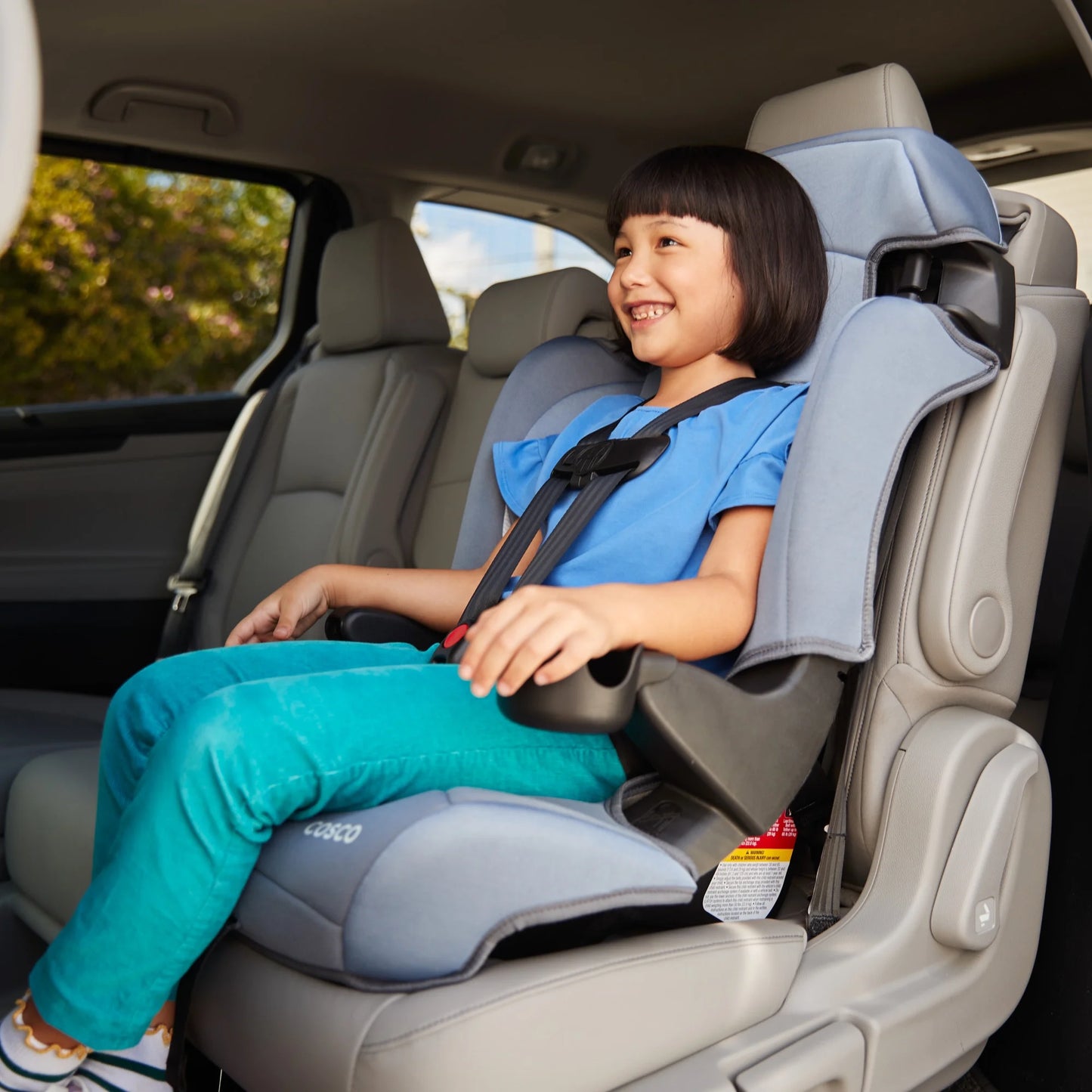 Finale DX 2-In-1 Booster Car Seat, Organic Waves