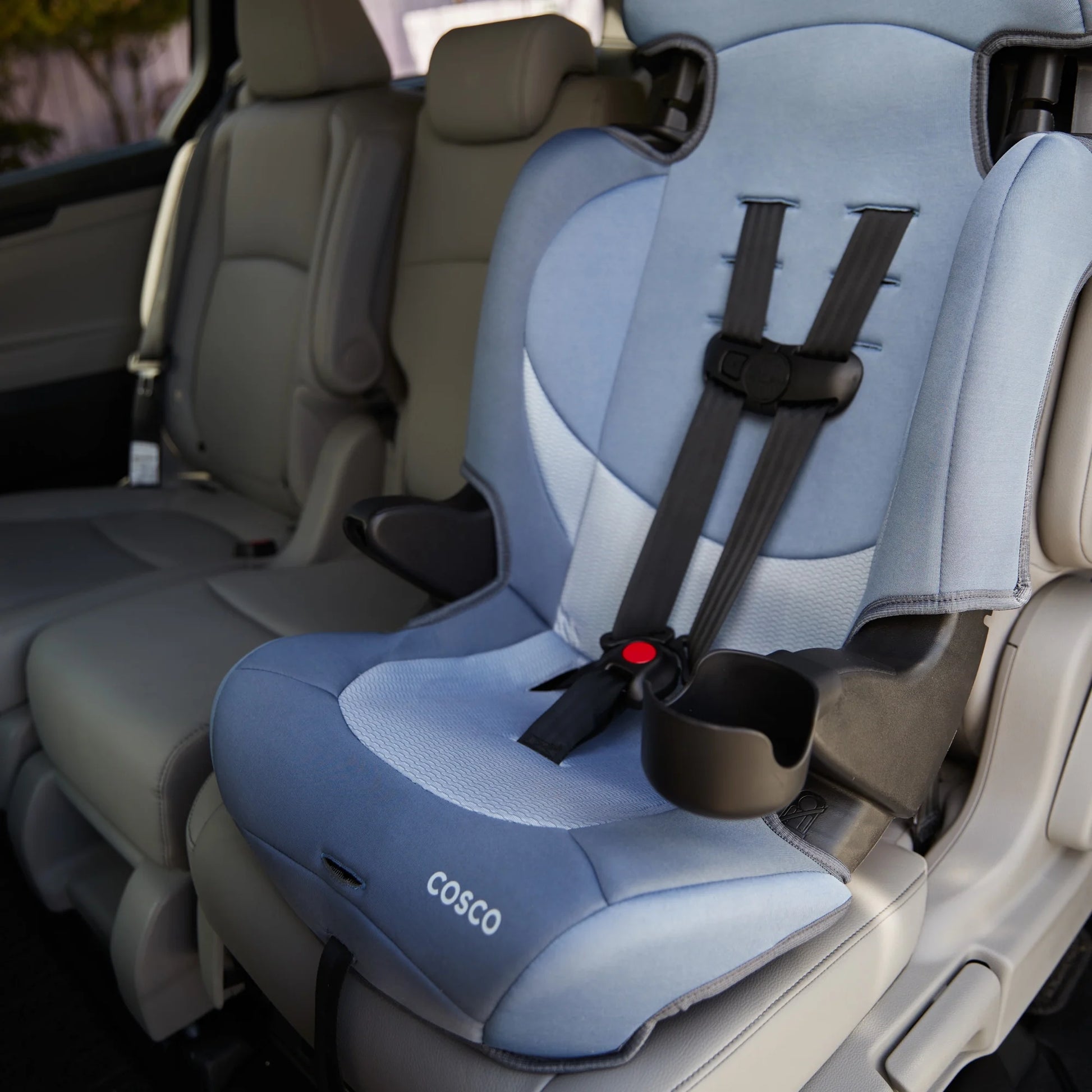 Finale DX 2-In-1 Booster Car Seat, Organic Waves