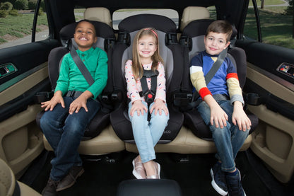 Finale DX 2-In-1 Booster Car Seat, Organic Waves