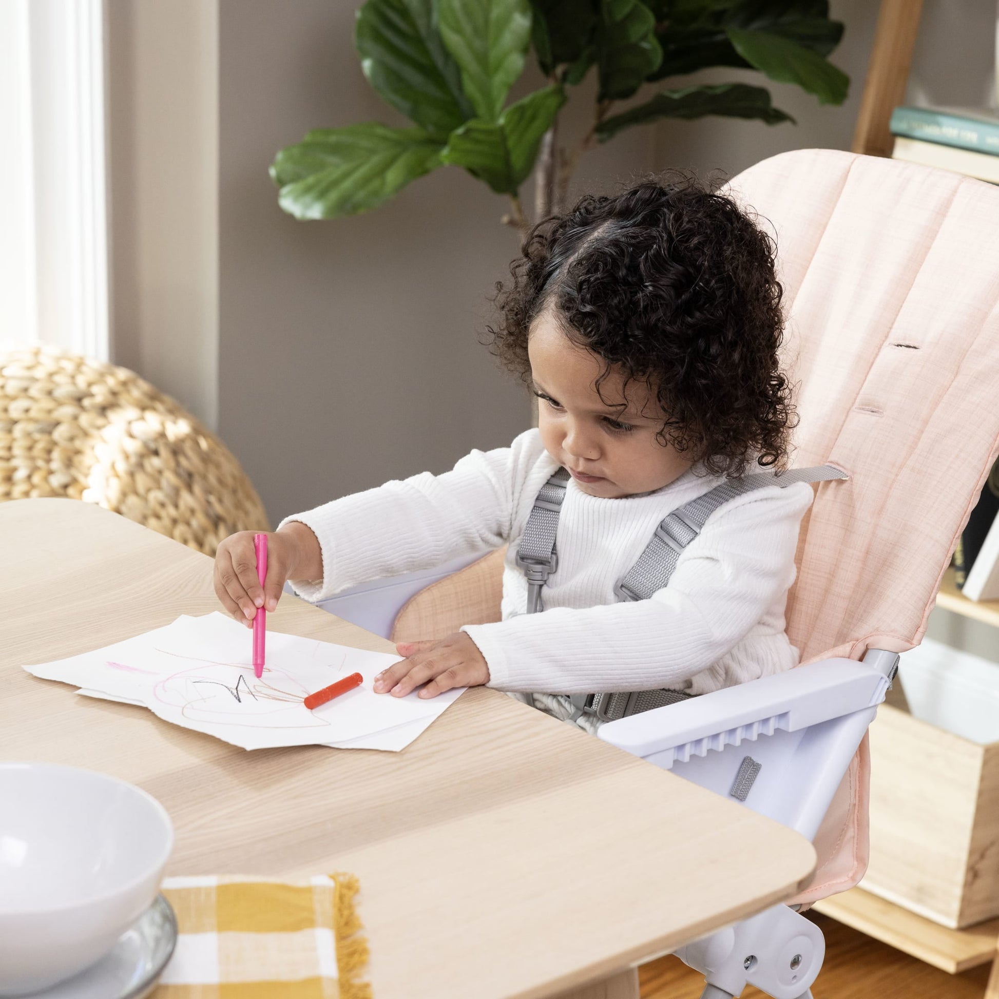 Sun Valley Compact Folding Baby High Chair - for Ages 6 Months and Up, Unisex - Pink