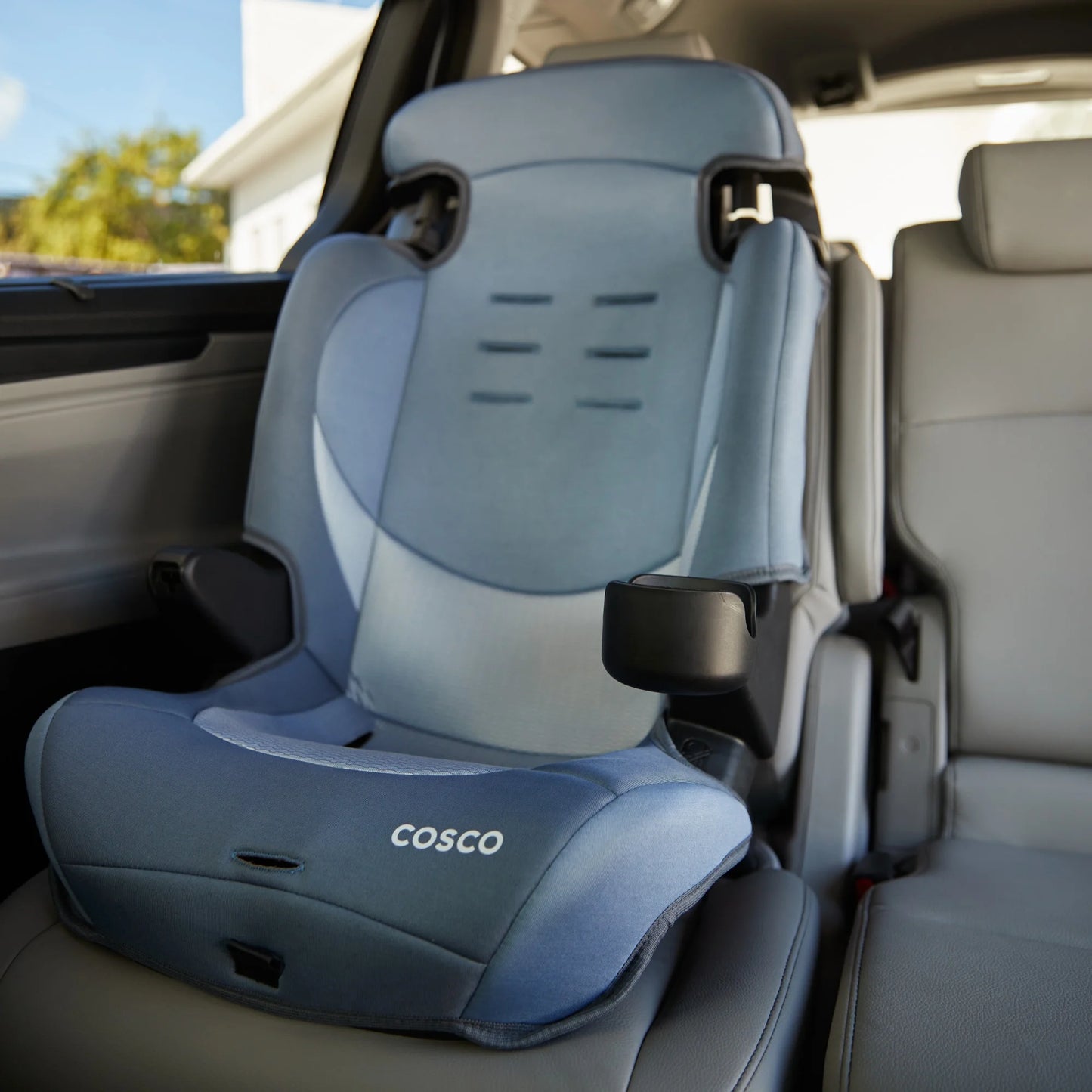 Finale DX 2-In-1 Booster Car Seat, Organic Waves