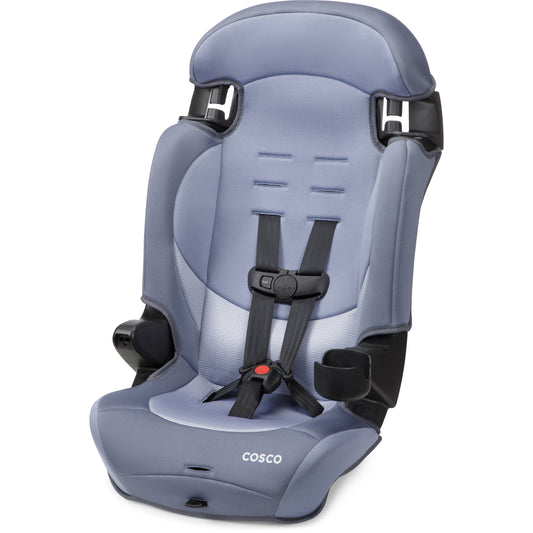 Finale DX 2-In-1 Booster Car Seat, Organic Waves