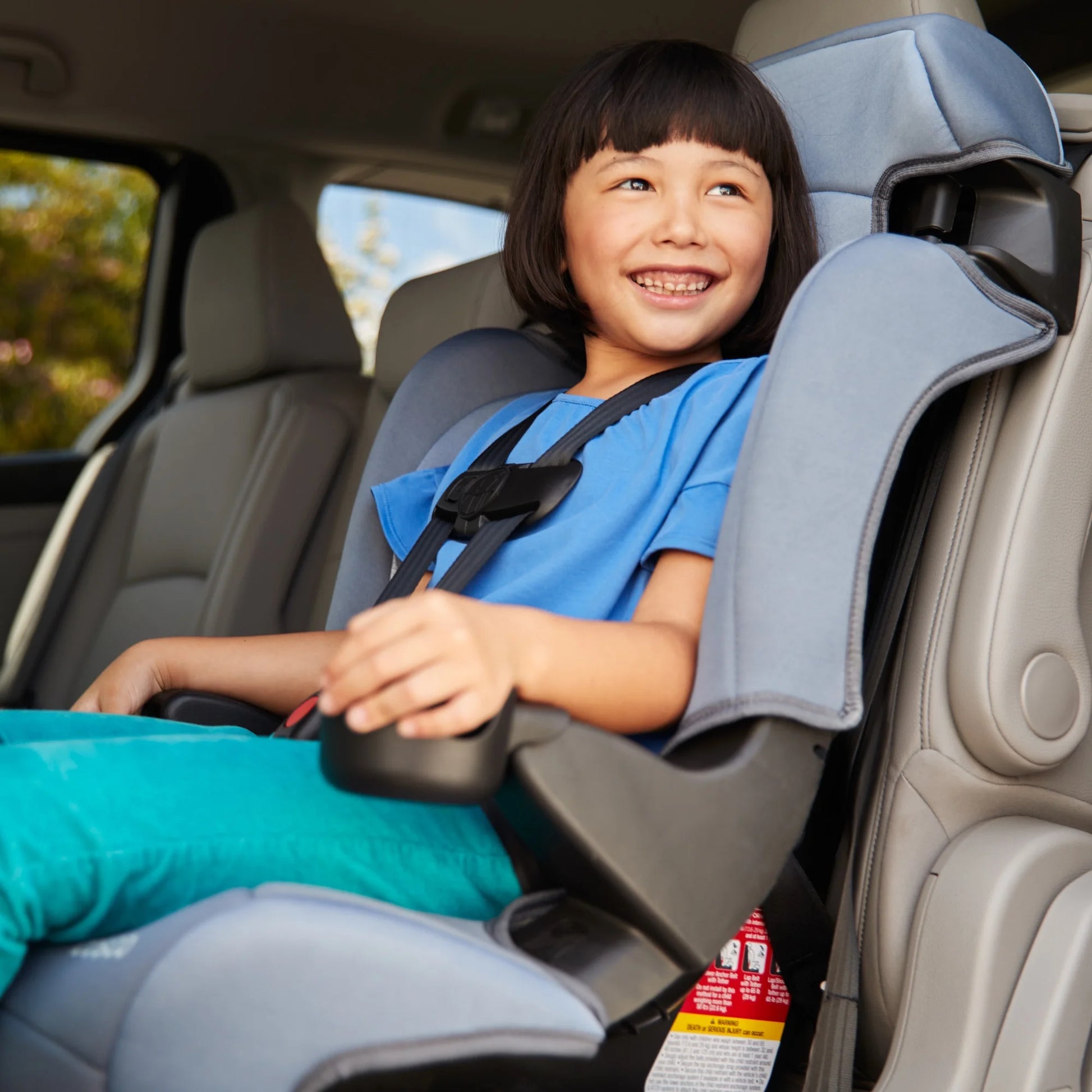 Finale DX 2-In-1 Booster Car Seat, Organic Waves